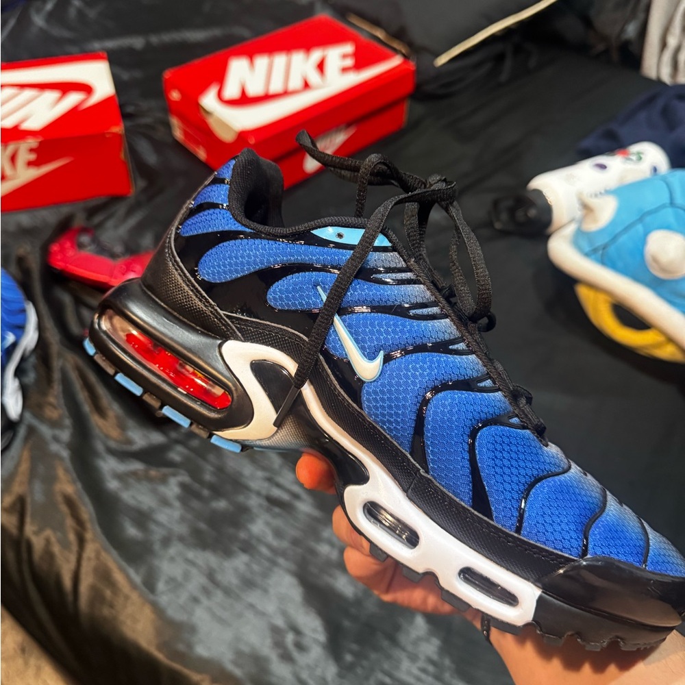 Nike Air Max Plus Blue and Black